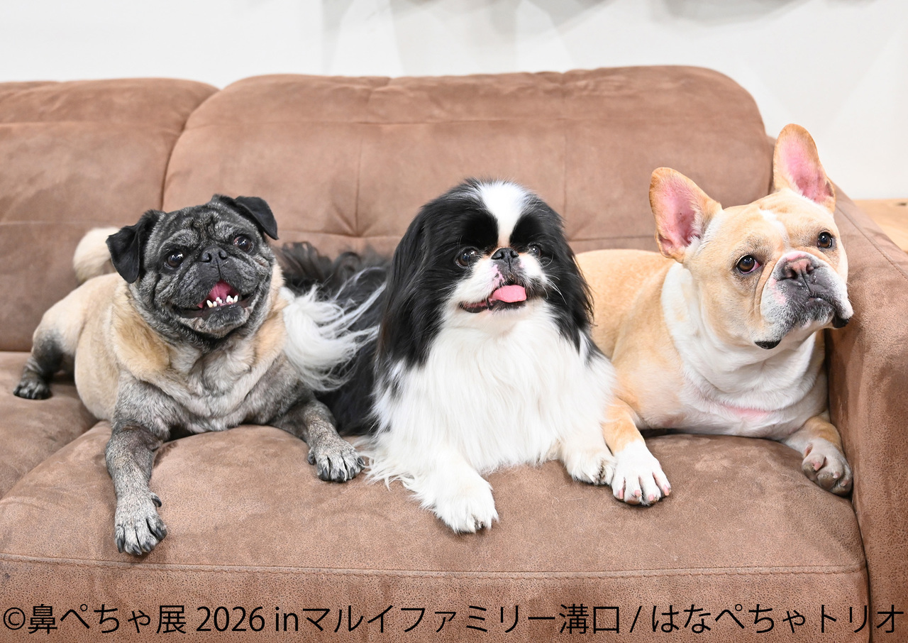 サムネイル画像