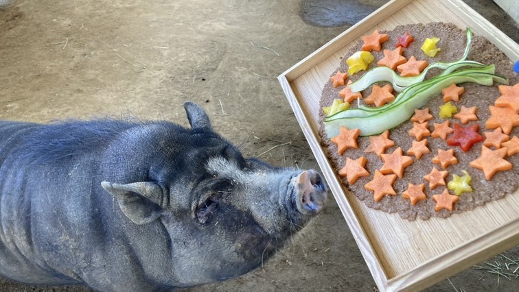 サムネイル画像