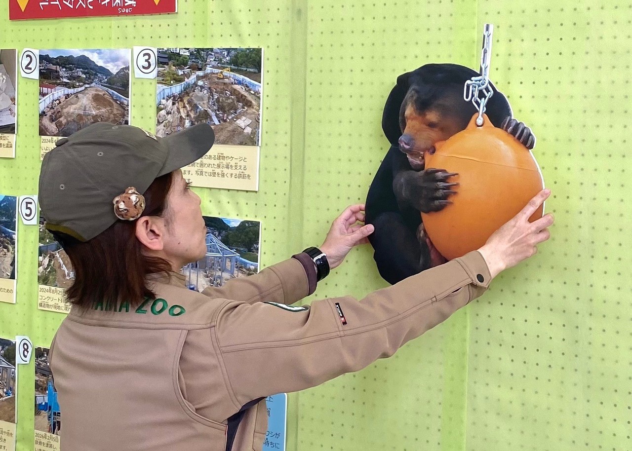 サムネイル画像