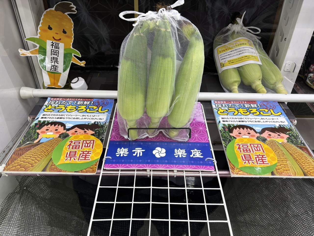 サムネイル画像