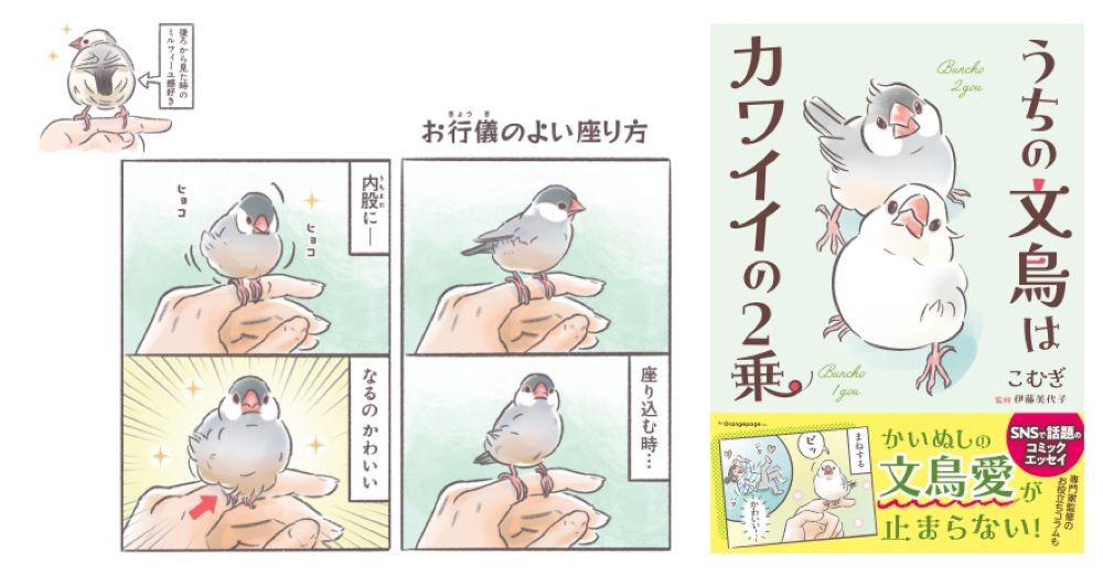 サムネイル画像