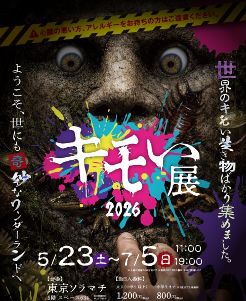サムネイル画像
