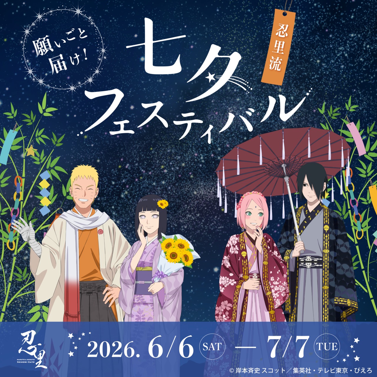 サムネイル画像