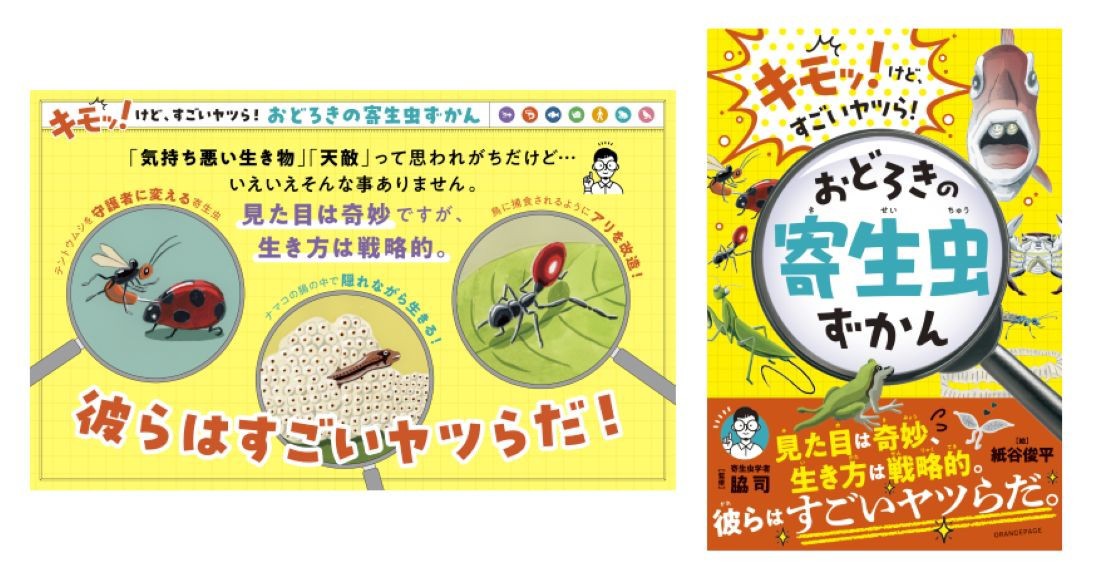 サムネイル画像